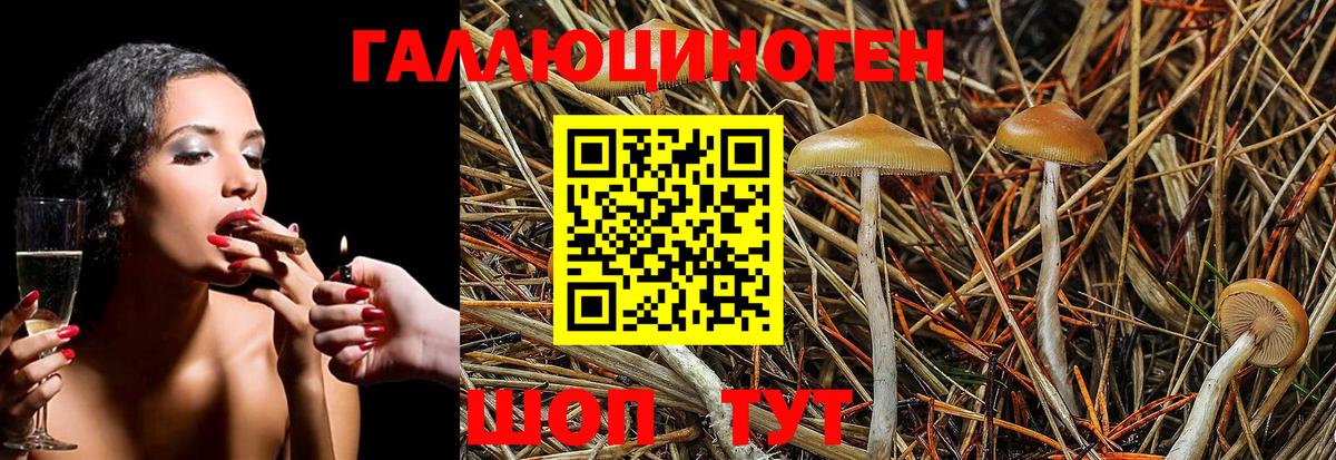 Галлюциногенные грибы GOLDEN TEACHER Крымск