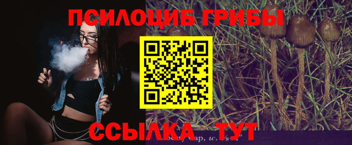 Крымск  цены   Вход с VPN  Псилоцибиновые грибы мухоморы 